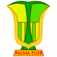 Brasão do clube