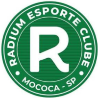 Brasão do clube